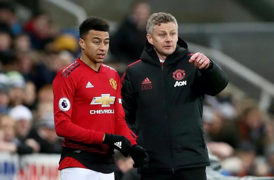 在维斯塔潘 在维斯塔潘